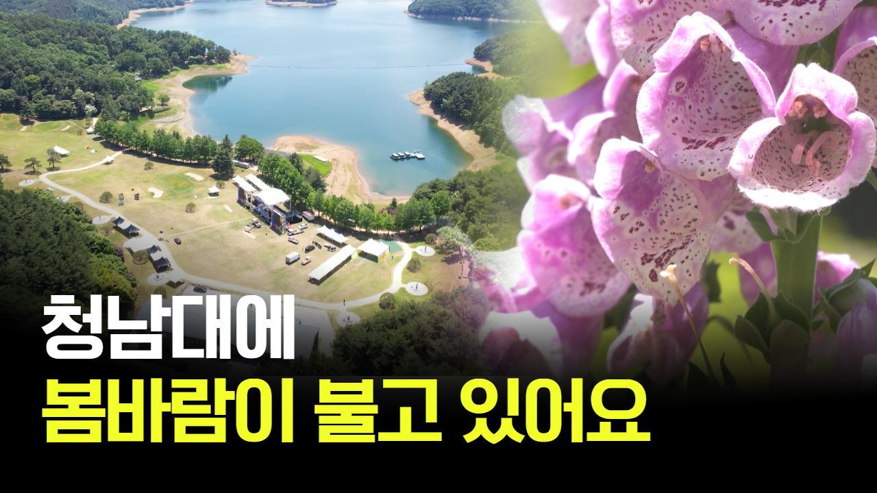 태희가간다ㅣ청남대에 봄바람이 불고 있어요