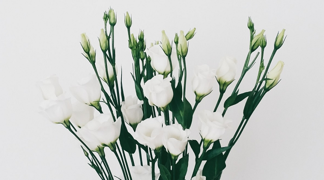 [부고] 손인석씨(충북뉴스 고문) 장인상