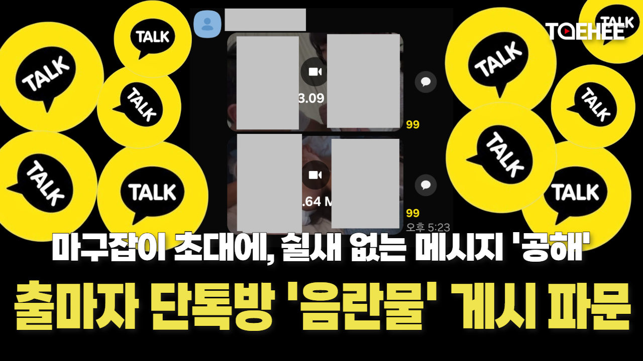 심각한 출마자 단톡방 공해, 음란 동영상까지 올라왔다