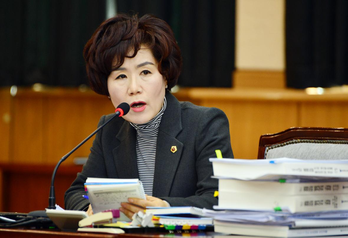이숙애 도의원