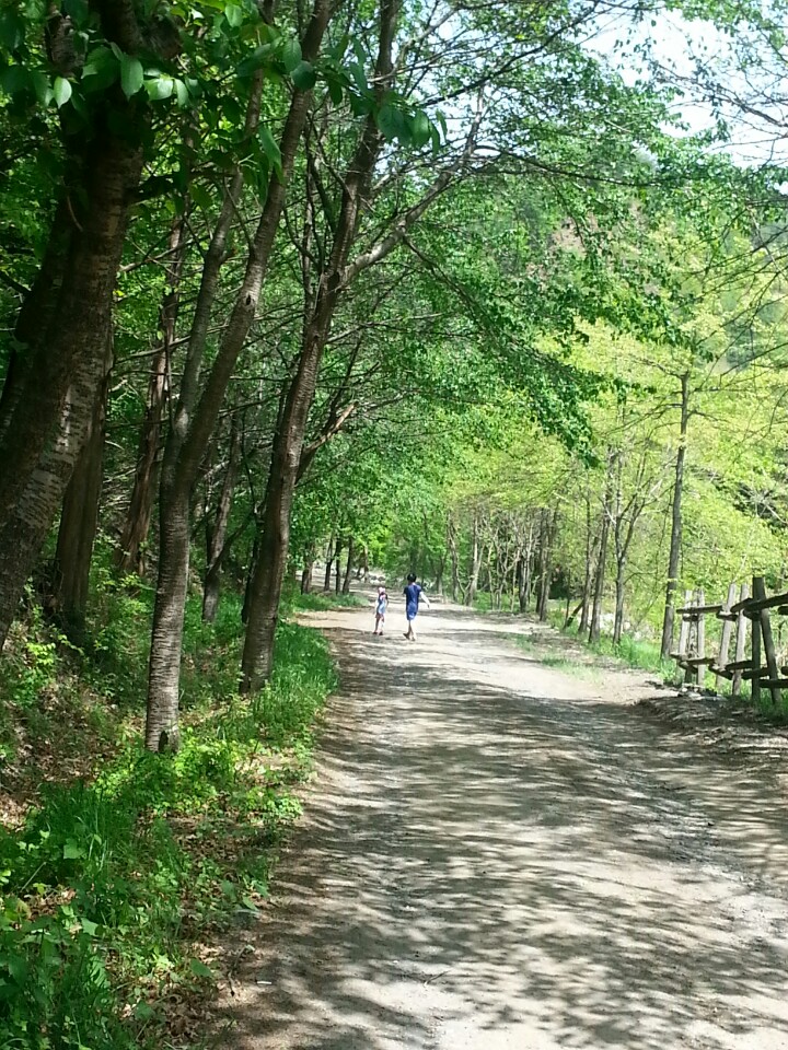 옥화자연휴양림